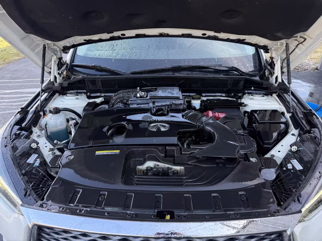 2019 Infiniti QX50 - 3PCAJ5M39KF116384 - Image #3